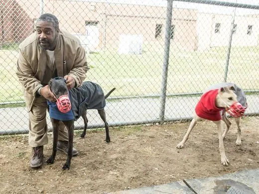 29468010 980696598768052 2947148928644022273 n