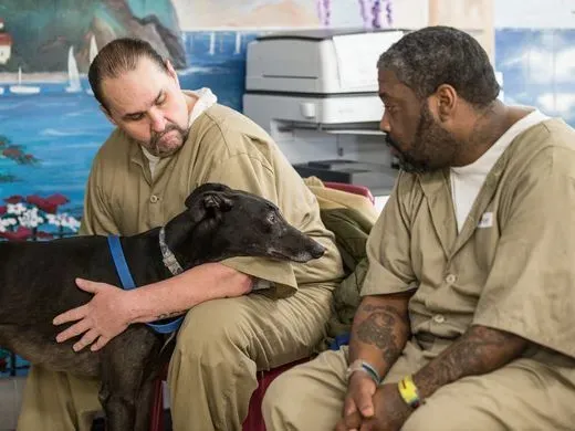 29468010 980696598768052 2947148928644022275 n