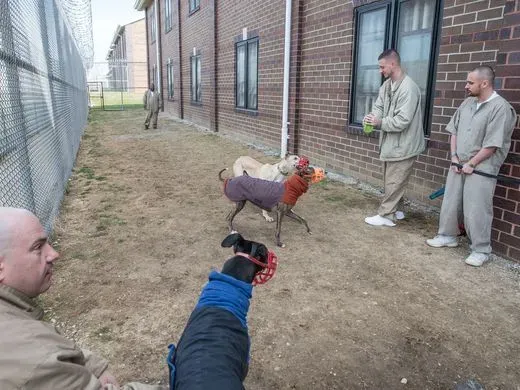 29468010 980696598768052 2947148928644022276 n