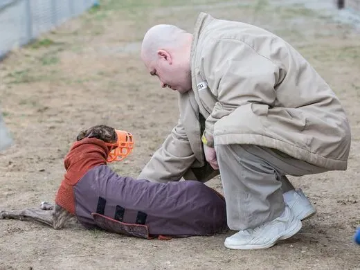 29468010 980696598768052 2947148928644022277 n