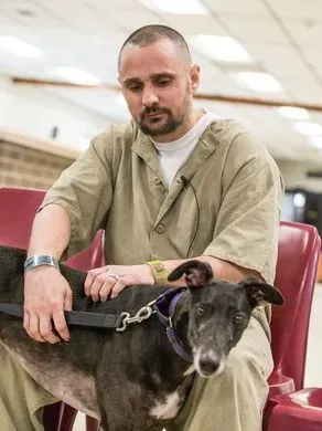 29468010 980696598768052 2947148928644022279 n