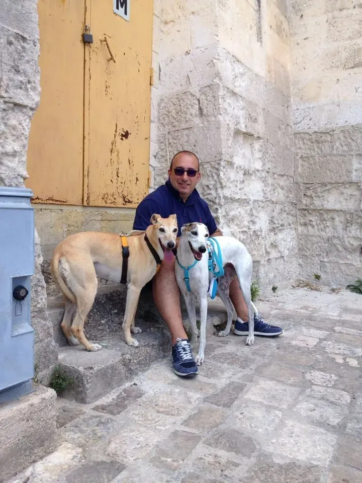 295049807 10221494009961632 3814525335595840799 n