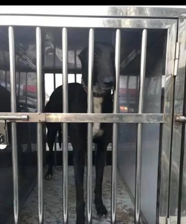 29512762 553761061676946 8016851188642741038 n