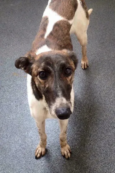 29513193 10210780673385093 7273270070912325275 n