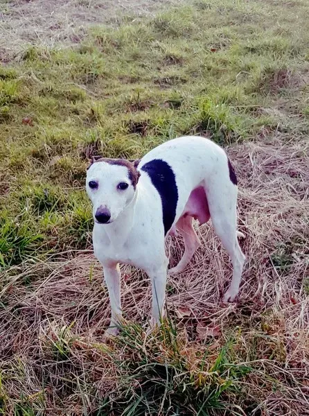 29513379 10214182859379013 80597440 o