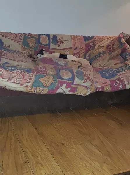 29513916 10214184145251159 2037669147 o