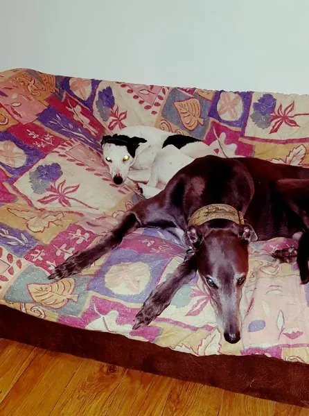 29514370 10214175207387718 972164096 o