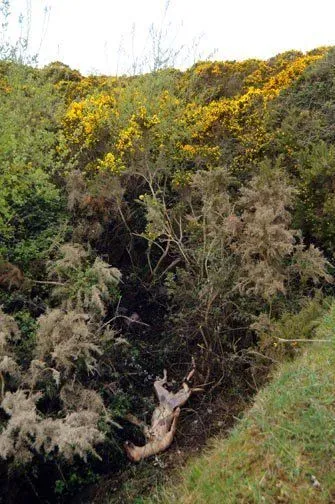 295228 386795298019616 1155212701 n