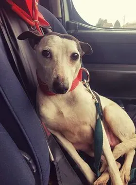 29547794 10214165144136143 986873898 n