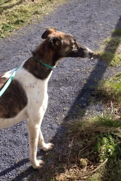 29595558 10210787823083831 4275581390171395148 n