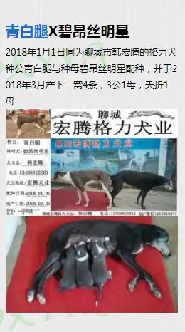 29598246 1637074029734059 5178980041143453129 n