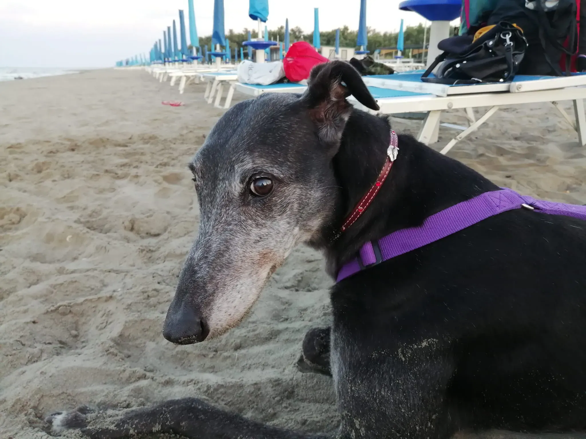 296015646 10225208627020575 1516445727929817670 n