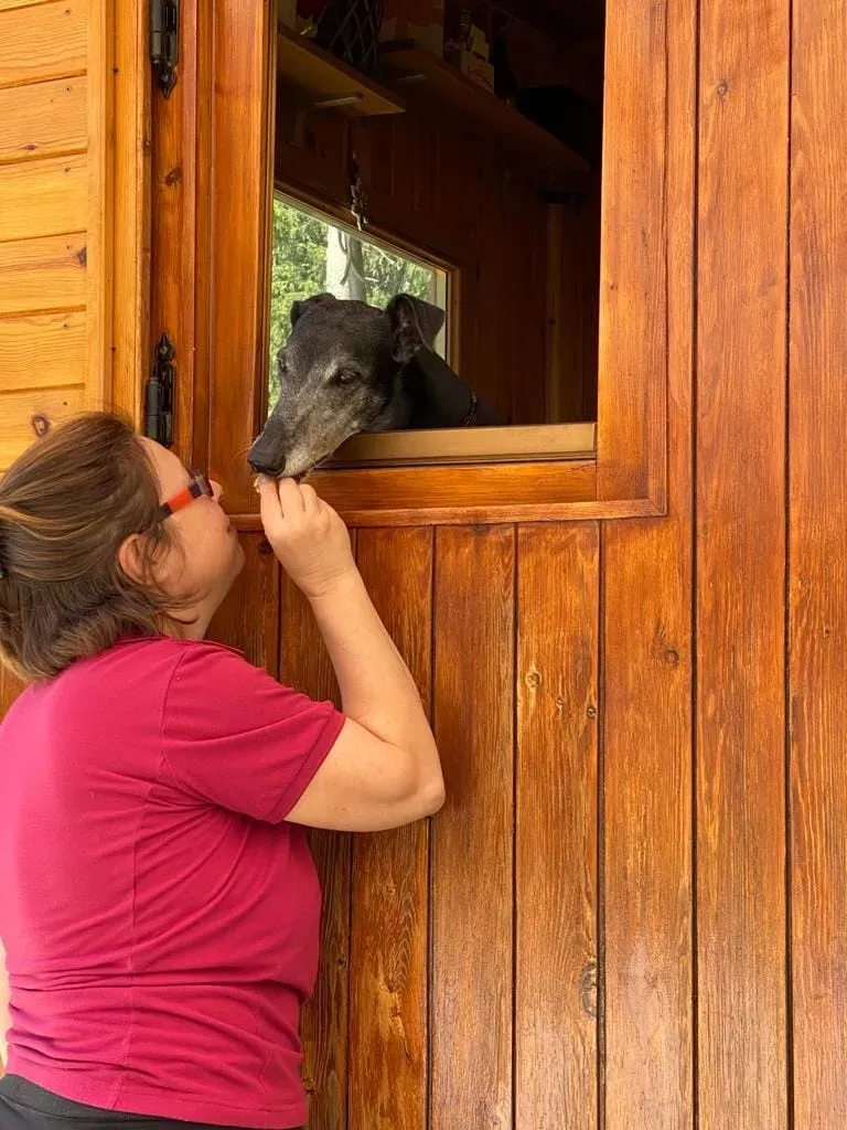 296103831 10225208625740543 7171803146201332608 n