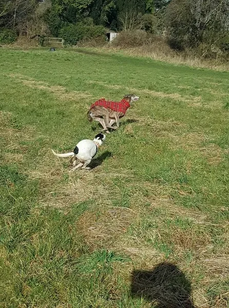 29634853 10214204129910763 1253199540 o