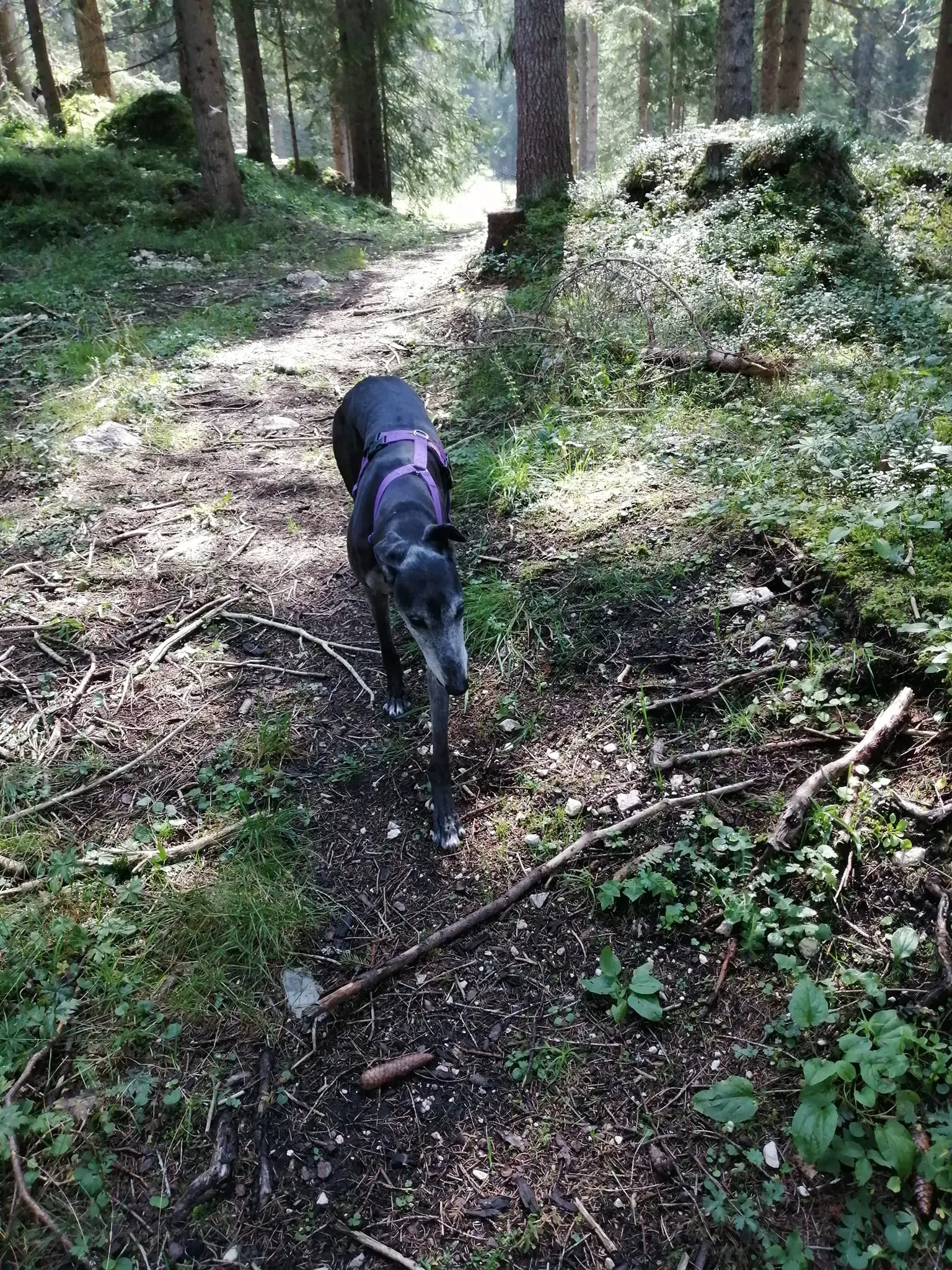 296409284 10225208626420560 5153354991733534266 n