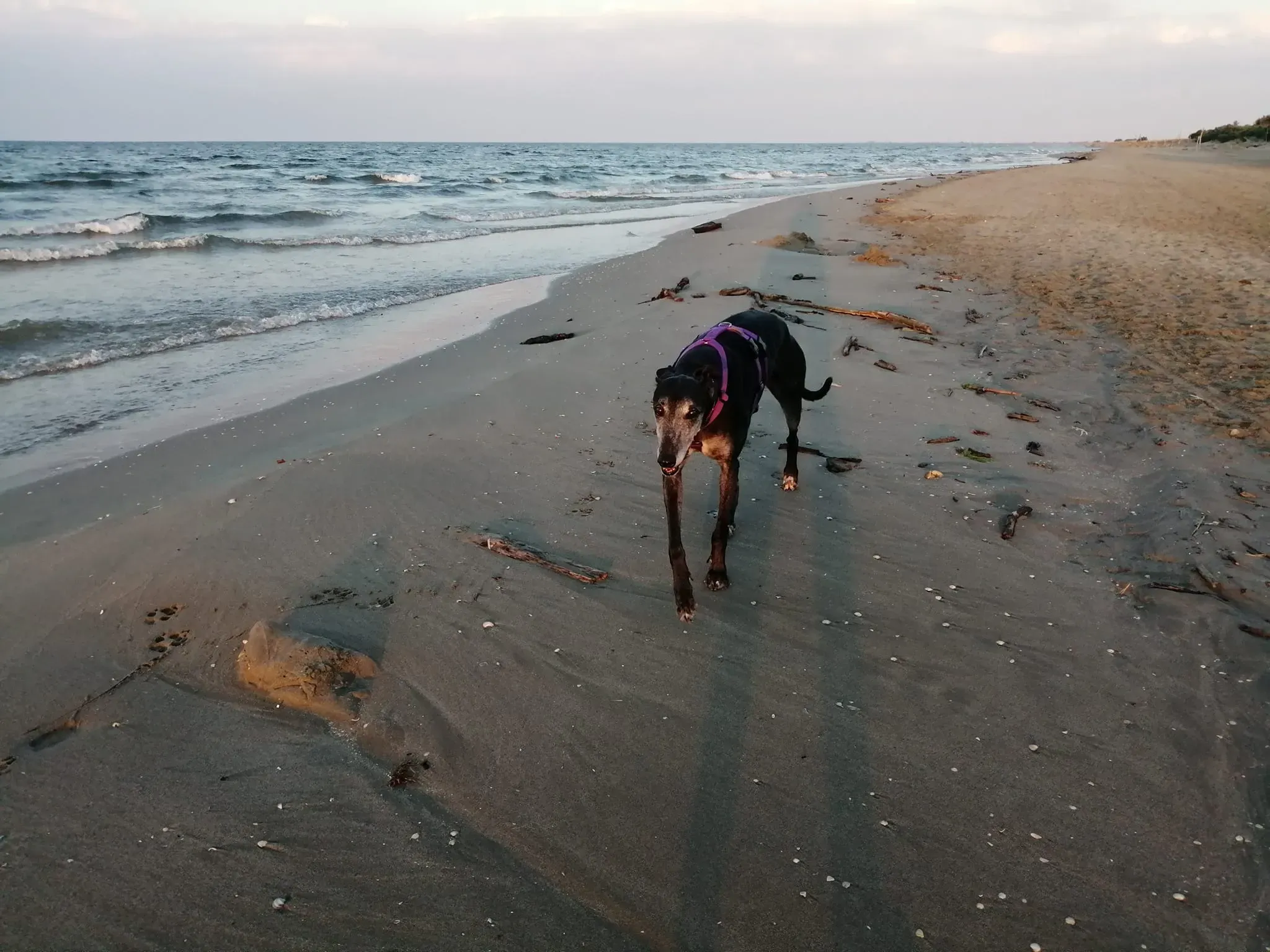 296431023 10225208627860596 6855356558415213718 n