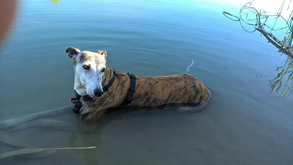 296620328 10226377561539705 1856025264838099680 n