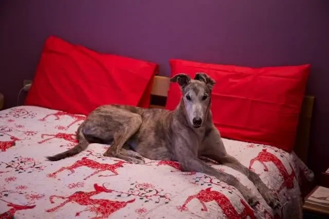 296725102 10217316126174828 6263618403008906260 n