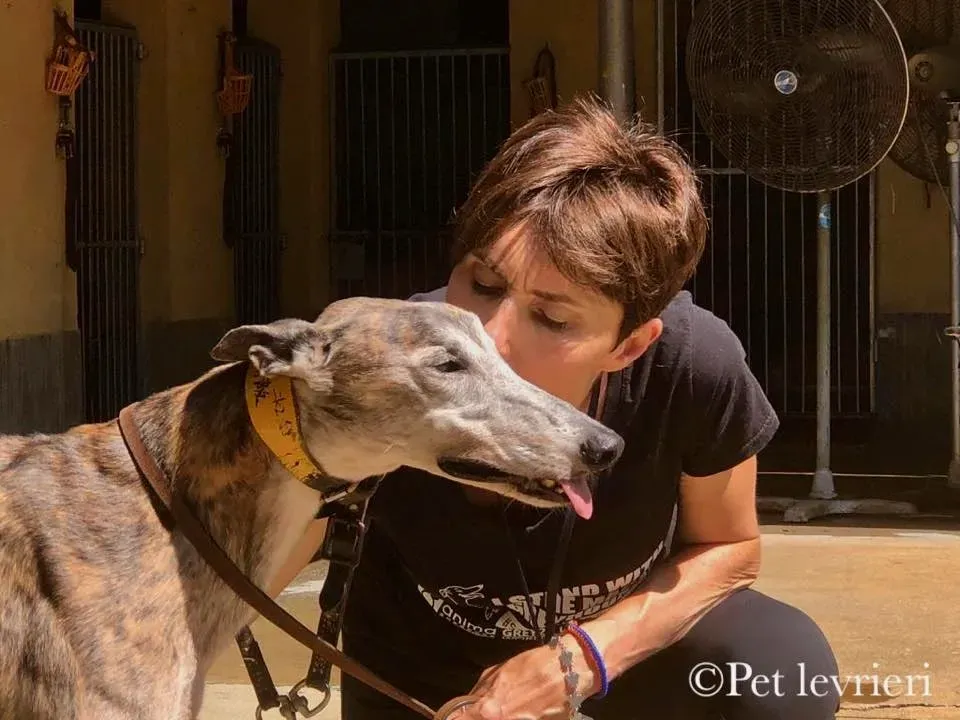 296771434 5433980950026797 1515847754112040709 n