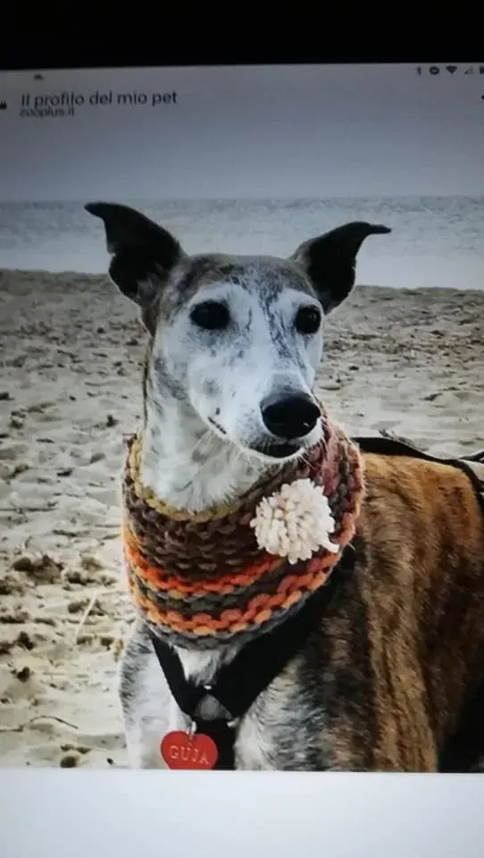 296788840 10226377560539680 7119535245483266708 n