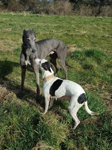 29680635 10214204128390725 1433092446 o