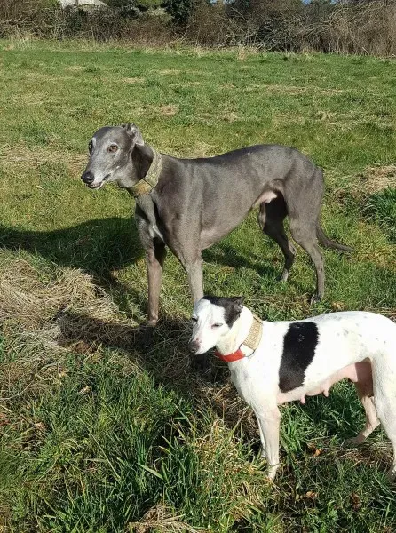 29681105 10214204126990690 125227207 o