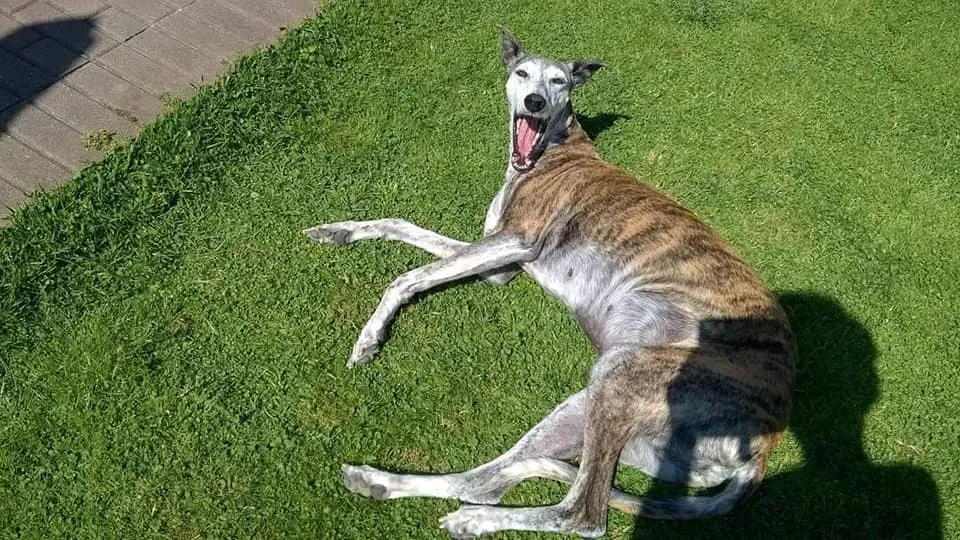 296894159 10226377560859688 6199980123068254196 n