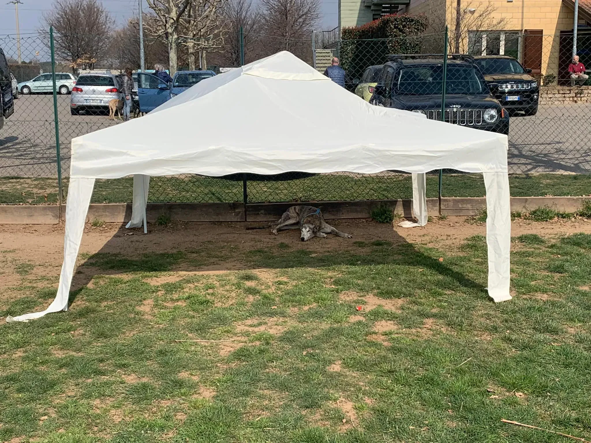 296978063 10217319784306279 7748267004895298402 n