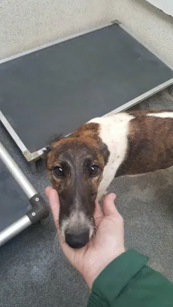 29749041 1608514762565779 264038055 o