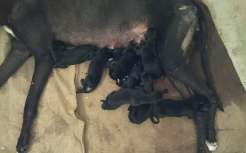 29982858 1637074039734058 3233377776736481079 o