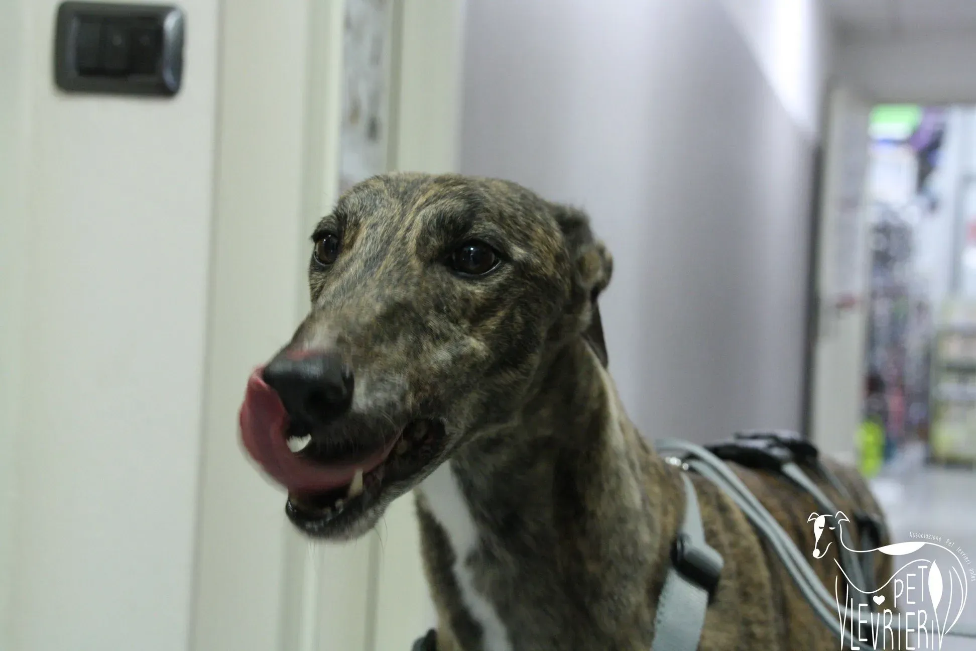 2B3B3532 D98F 4FCE B400 BB81E5910AED