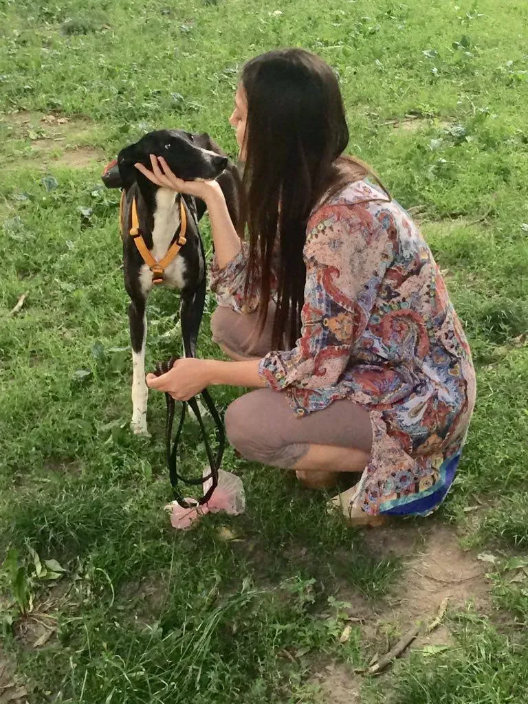 2 musa adozione galgo