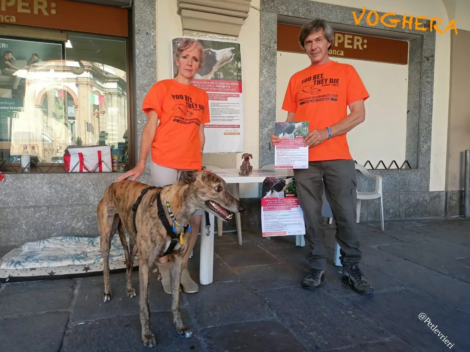 2ad605a7 c5bd 422a ac36 6ec0c492ea16 risultato