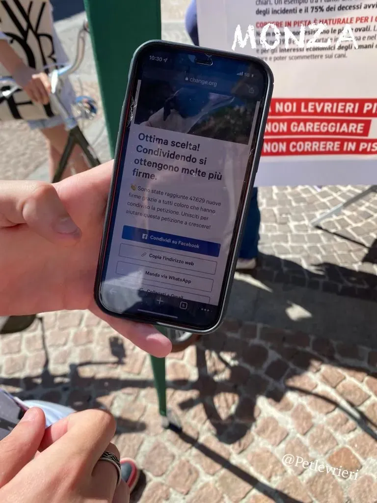 3003b970 ab34 41f5 b8eb d5e1a33f7dd5 risultato