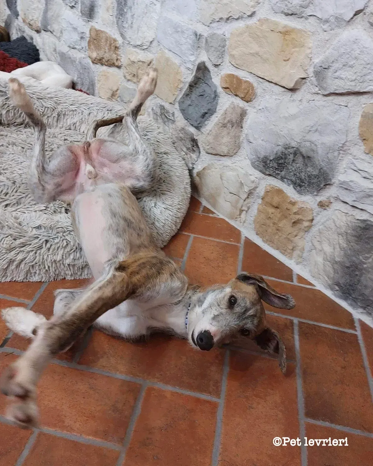 3023A9F5 93DD 4DDE 8DAB 06837218321B