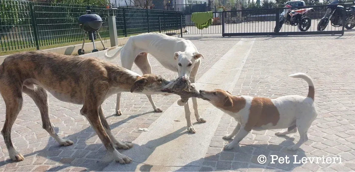 3036A501 8536 418F 913A 82BEB4411A09