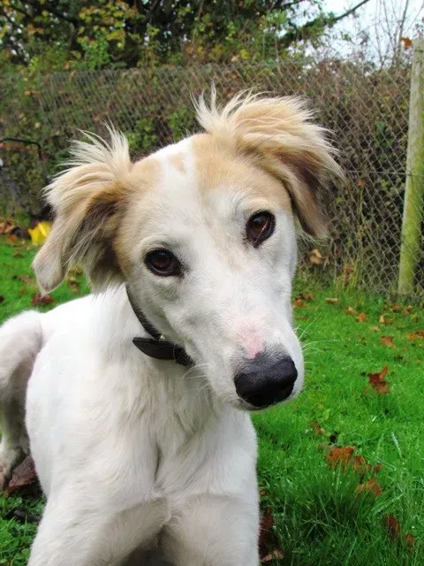 304403 495525183801352 1073751470 n