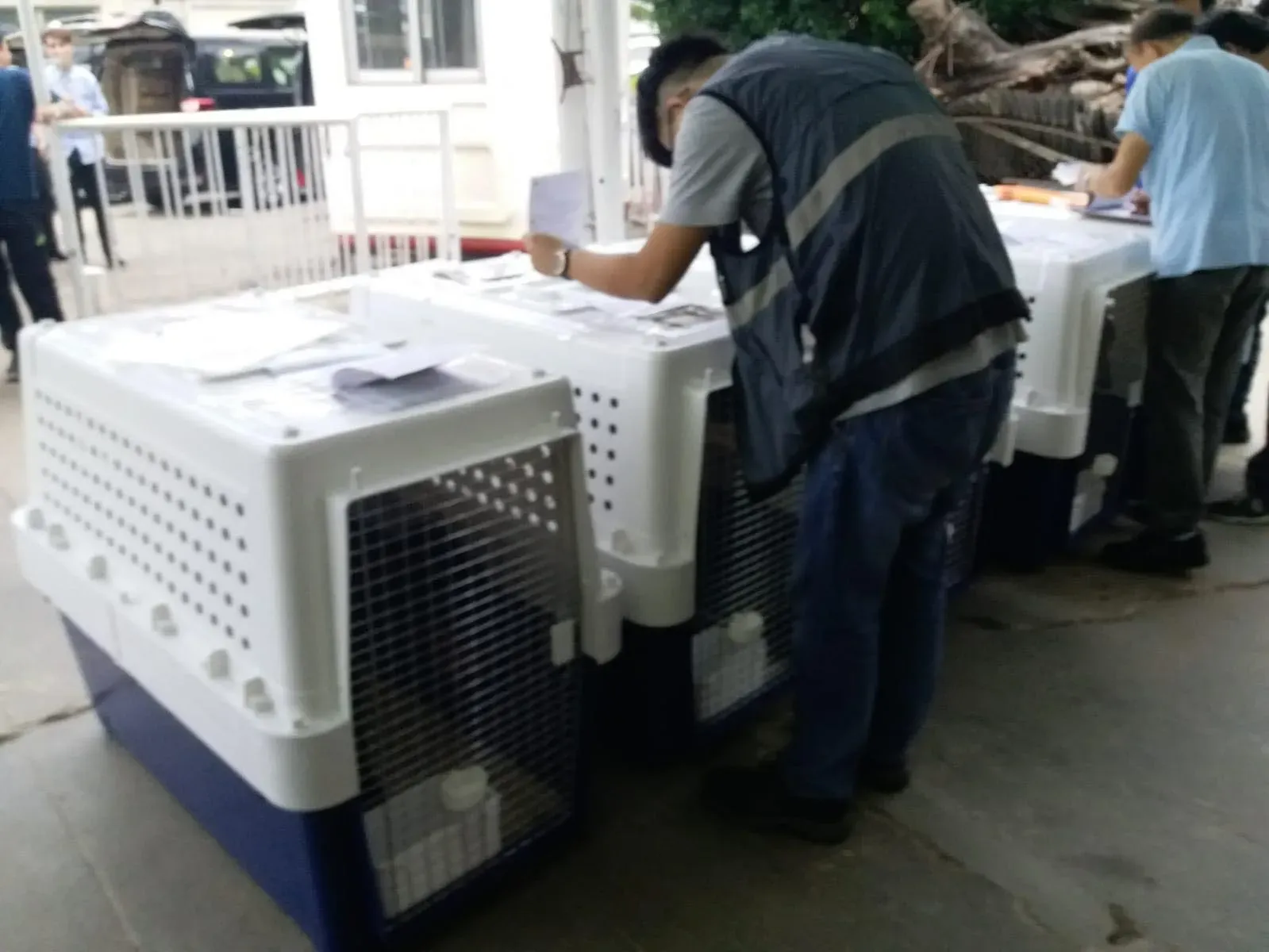 31059470 1005066439664401 2352674636824576000 n 2