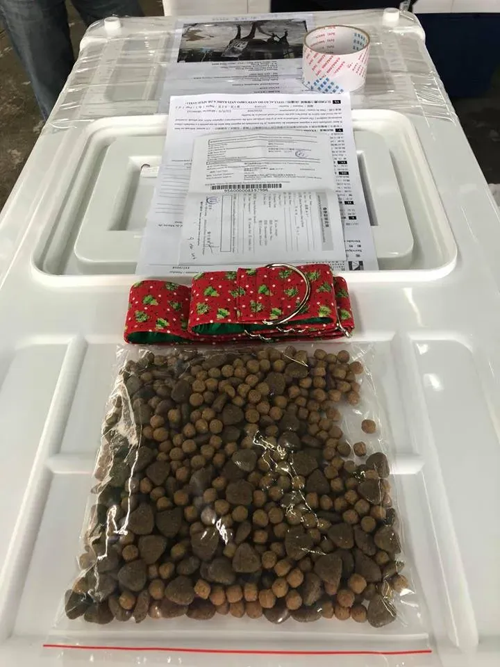 31059470 1005066439664401 2352674636824576000 n 4