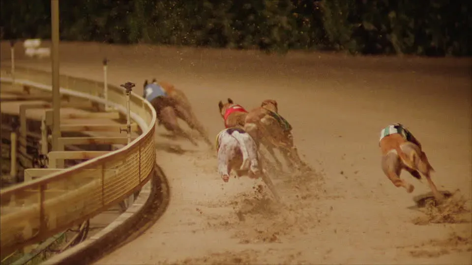 31059470 1005066439664401 2352674636824576001 n 3