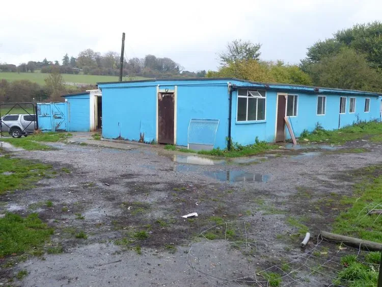 31059470 1005066439664401 2352674636824576001 n 5