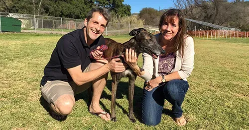 31059470 1005066439664401 2352674636824576001 n