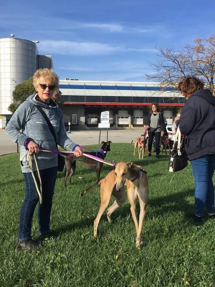 31059470 1005066439664401 2352674636824576002 n 1