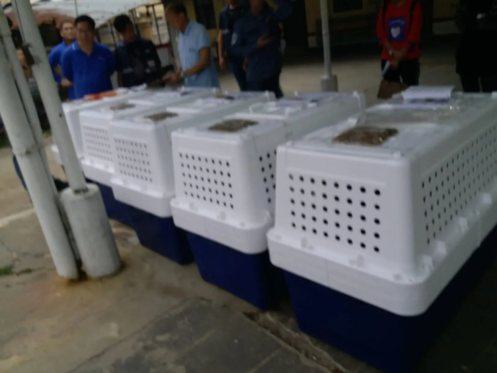 31059470 1005066439664401 2352674636824576002 n 2