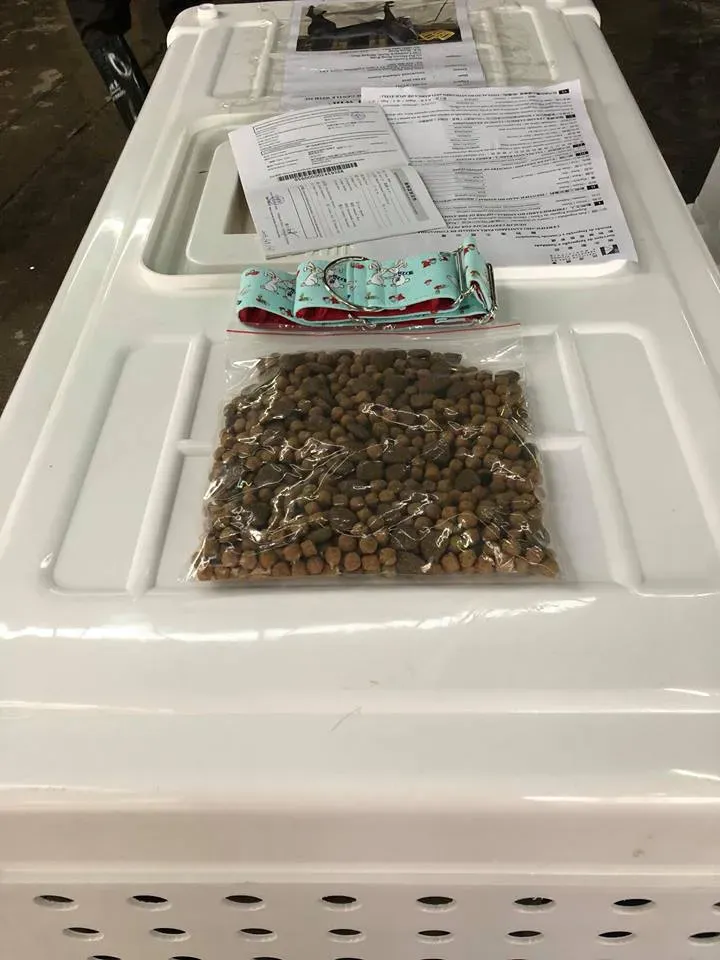 31059470 1005066439664401 2352674636824576002 n 4