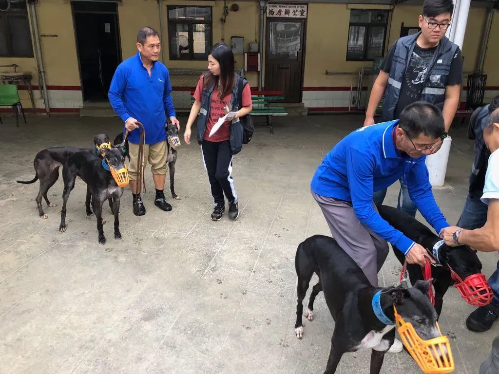 31059470 1005066439664401 2352674636824576003 n 1