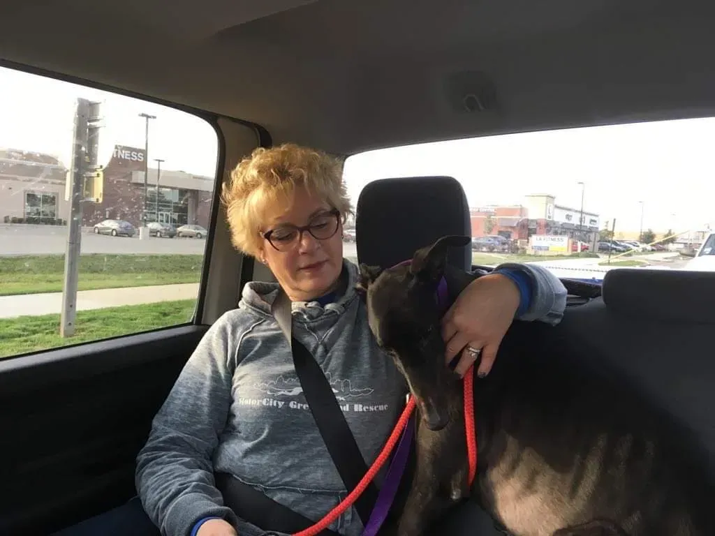 31059470 1005066439664401 2352674636824576003 n