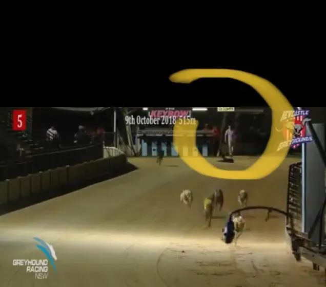 31059470 1005066439664401 2352674636824576004 n 1