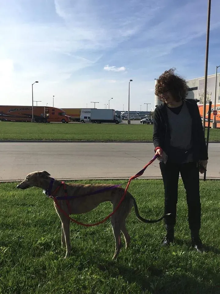 31059470 1005066439664401 2352674636824576004 n 2