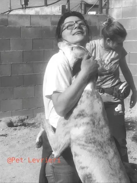 31143880 1702438453173336 1925429904606756864 n